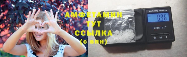 трава Балахна